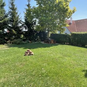 Csaba Apartman Fonyód