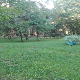 Gyöngy Vendégház Szalafő