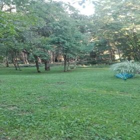 Gyöngy Vendégház Szalafő