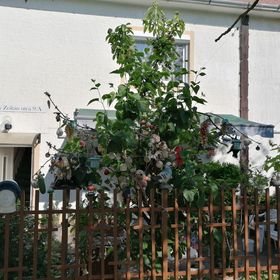 Ildikó Vendégház Hévíz