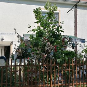 Ildikó Vendégház Hévíz