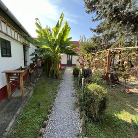 Alma Hof Vendégház Boldogasszonyfa