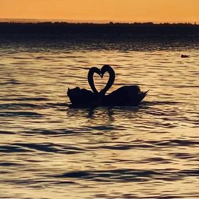 Butik Apartman Badacsonytomaj