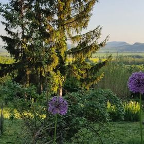 Öreghegy Vendégház Szentbékkálla