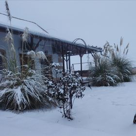 Puszta Gyöngye Vendégház Szarvas