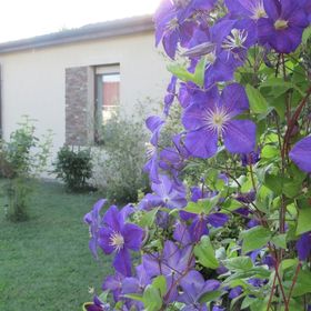 Cinege Apartman Gárdony