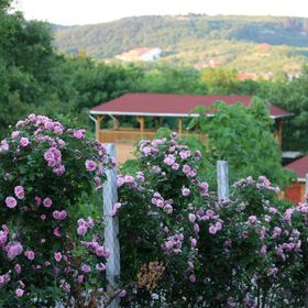 Rózsapark Panoráma Apartman Demjén