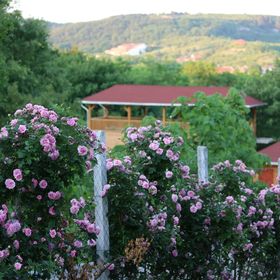 Rózsapark Panoráma Apartman Demjén