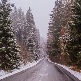 Casa de oaspeți Woodland house Sântimbru-Băi