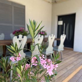 Dekorellá Tó Vendégház Zamárdi