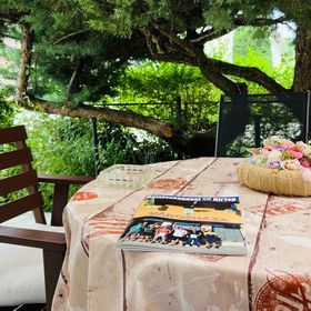 Bonsai Garden Balatonkenese