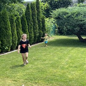 Bonsai Garden Balatonkenese