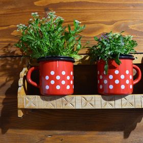 Szentkúti Kunyhó-Ökoház Mucsi