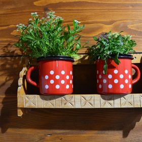 Szentkúti Kunyhó-Ökoház Mucsi