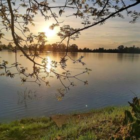 Tóparti Kuckó Mályi