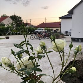 Csodaszarvas Vendégház Nyíradony