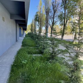 Studio Mirage Sunset Constanța