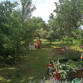 Pista Papa Tanyája Balatongyörök