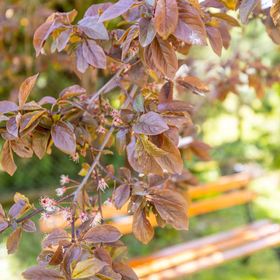 Czarna Góra Apartamenty