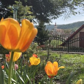 Malomvölgy Vendégház Tardos