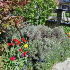 Apartman i sobe Corina Eszék - Osijek