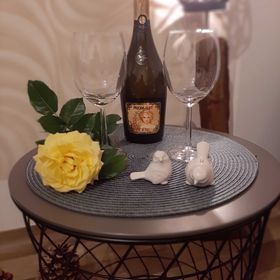 Apartmán Helena Harrachov