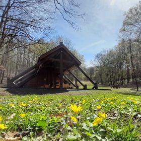 Zebegényi Erdei Sátortábor és Szálláshely Zebegény