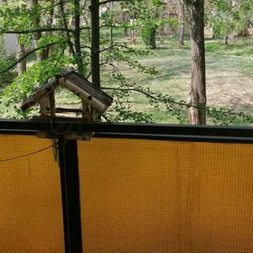 Erzsébet Vendégház Szarvas