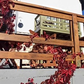 NemCsuri Vendégház Somlóvásárhely