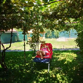 Bagolyvár Vendégház Magyarszombatfa***