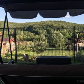 Apartament La Vilă Curtea de Argeș