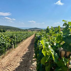 Vass Villa Vendégház és Pincészet Felsőörs