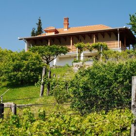 Németh Pincészet Zákány