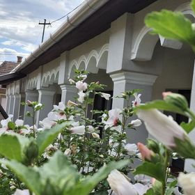 Téli Berek Vendégház Abod