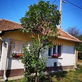 Búzavirág Vendégház Poroszló