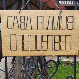 Casa Flavius Bran