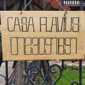 Casa Flavius Bran