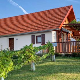 Vendégház Stegersbach - ABU197