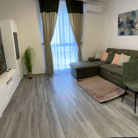 Apartament Andre Băile Felix