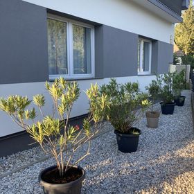 Park Vendégház Bakonyszentkirály