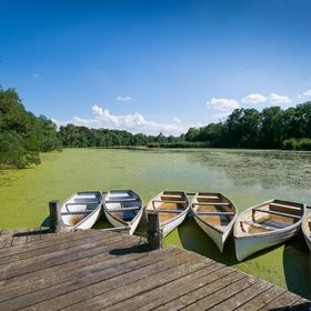 Barkóscinege Vendégház Géberjén