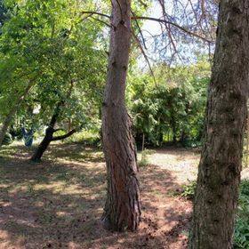 Hélium Apartman Hévíz