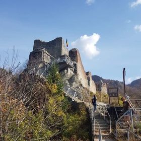 Livada cu Meri Căpățânenii Ungureni