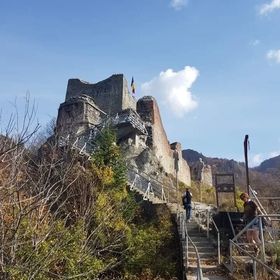 Livada cu Meri Căpățânenii Ungureni