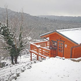 Szajkó Fakuckó*** Tamási