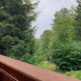 Omszałe Głazy Zachełmie