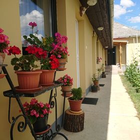 Gőgő Parti BM Tanya Nagyszekeres