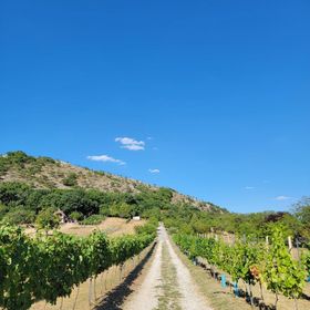 Napsugár Birtok Csákberény