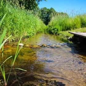 Agroturystyka Folwark Jeleń Knyszyn