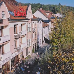 Hotel Litovel Luhačovice